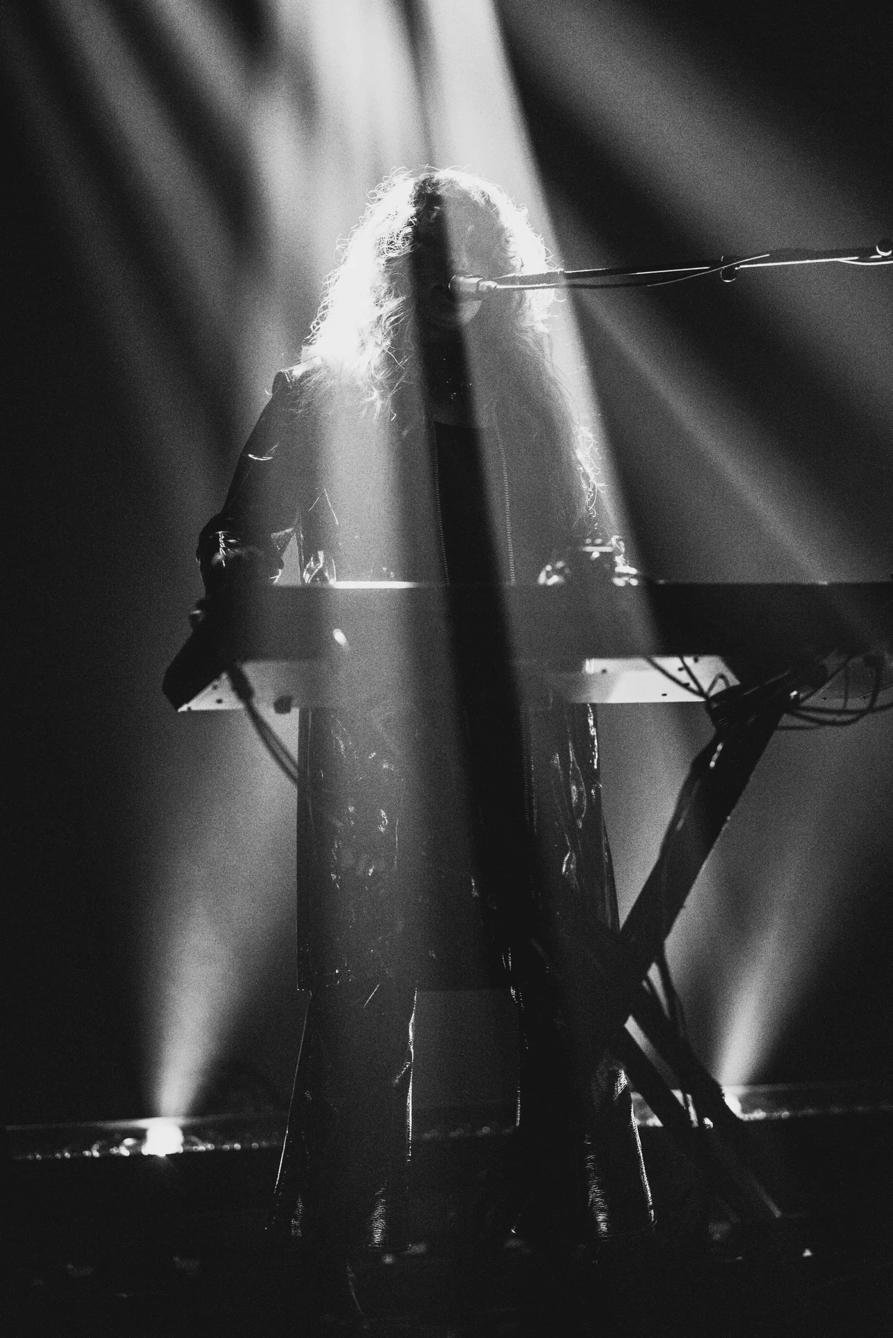 Beach House Concert - photo 19 of 38